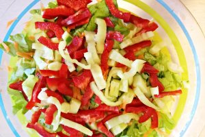 Salata Primavara
