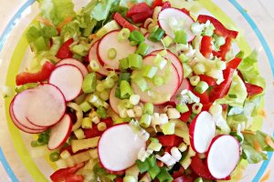 Salata Primavara
