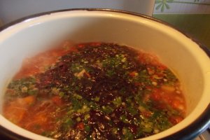 Ciorba de primavara, din legume