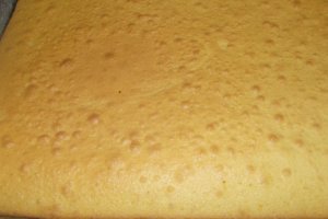 Desert prajitura cu crema de ciocolata alba si fructe de padure