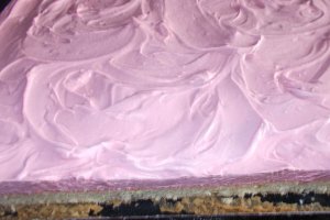Desert prajitura cu crema de ciocolata alba si fructe de padure