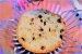 Desert cu piscoturi si panettone-3