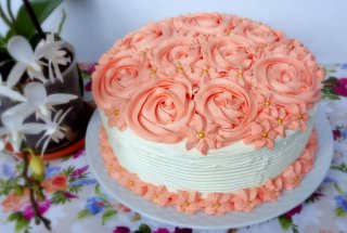 Desert tort in doua culori cu crema de vanilie si jeleu de caise