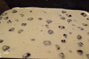 Desert prajitura bicolora cu cirese