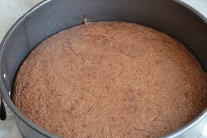 Desert tort cu crema de zmeura si mure