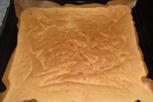 Desert Swiss Roll-Rulada cu capsuni