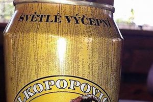Slanina popricata cu usturoi verde