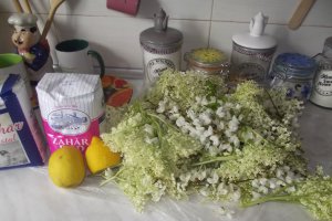 Sirop de soc si salcam