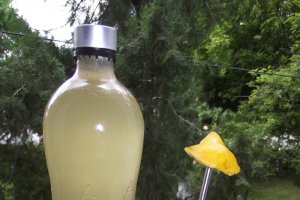 Sirop de soc si salcam