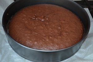 Desert tort cu capsuni, mascarpone si ciocolata