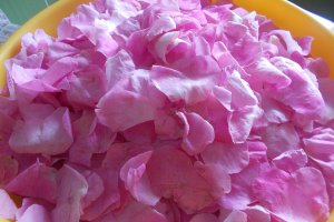 Dulceata de trandafiri