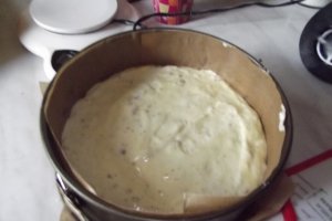 Desert tort Tamara