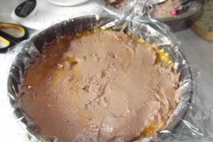 Desert tort Tamara