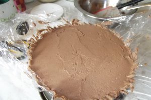 Desert tort Tamara
