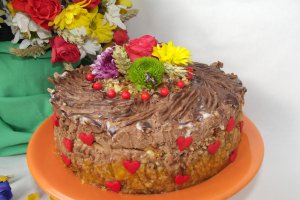 Desert tort Tamara