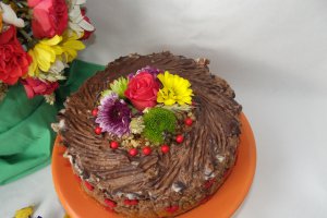 Desert tort Tamara