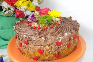 Desert tort Tamara