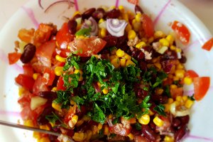 Salata mexicana pe pat de salata verde