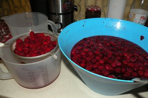Sirop de visine la rece
