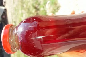 Sirop de visine la rece