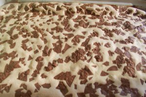 Desert prajitura chinezeasca
