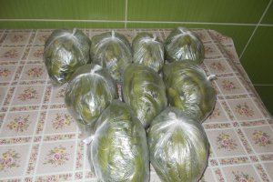 Pastai semifierte pentru iarna