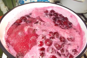 Dulceata de visine