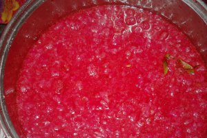 Nectar de capsuni