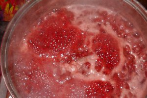 Nectar de capsuni