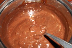 Desert inghetata de ciocolata