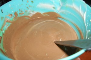 Desert inghetata de ciocolata