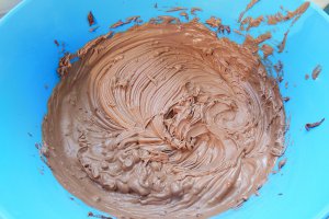 Desert tort cu crema duo de ciocolata, visine si alune pralinate