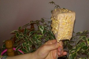 Desert inghetata cu Nutella