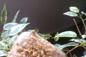 Desert inghetata cu Nutella