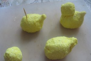 Puisori( pentru decor)