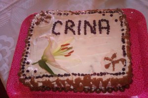 Desert tort Crina