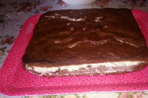 Desert tort Crina