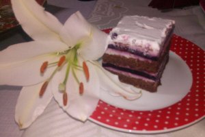 Desert tort Crina