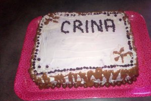 Desert tort Crina