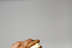 Desert inghetata sandwich
