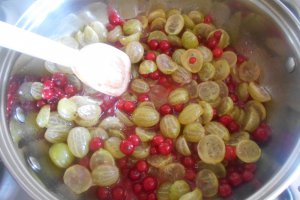Dulceata agrise si coacaze rosii