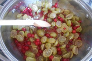 Dulceata agrise si coacaze rosii