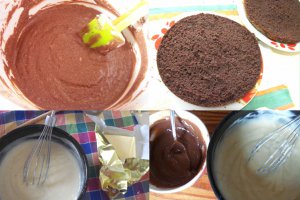 Desert tort Cristina