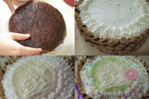 Desert tort Cristina