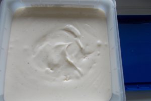 Desert inghetata de vanilie / Reteta cu nr. 100