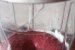 Desert iaurt inghetat din doar 4 ingrediente pe care sigur le aveti in casa-1