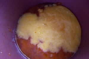 Desert inghetata de caise confiate