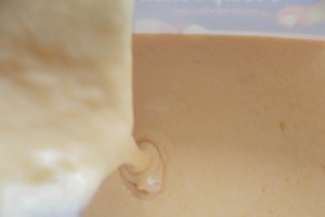 Desert inghetata de caise confiate