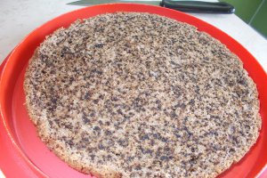 Desert tort Fulgi de nea