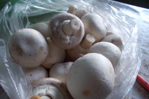 Tocanita de champignons cu piure de cartofi